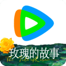 m的心态分析